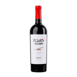 Вино Pilot’s Wines Мерло красное сухое 0,75л 11,5%