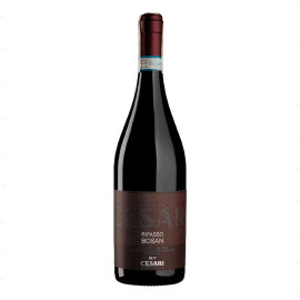 Вино Valpolicella Superiore Ripasso Bosan красное полусухое 0,75л 14%