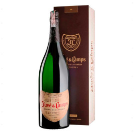 Вино игристое Juve y Camps Reserva de la Familia белое брют 3л 12%