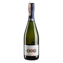 Шампанское Francoise Bedel Entre Ciel et Terre белое брют 0,75л 12,5%