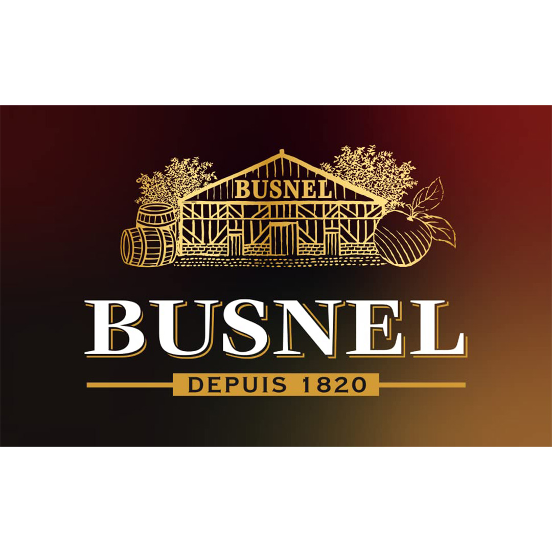 Кальвадос Busnel Pays D'Auge ХО 0,7л 43% купить