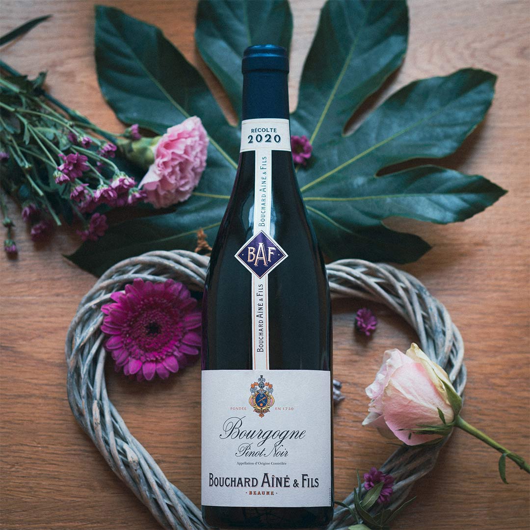 Вино Bouchard Aîné &amp; Fils Bourgogne Pinot Noir красное сухое 0,75л 13% купить