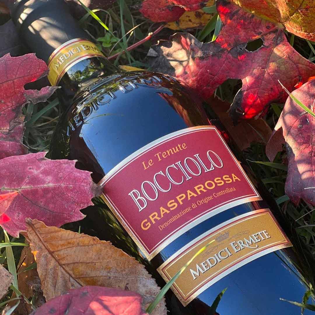Вино игристое Bocciolo Grasparossa красное сладкое 0,75л 7,5% купить