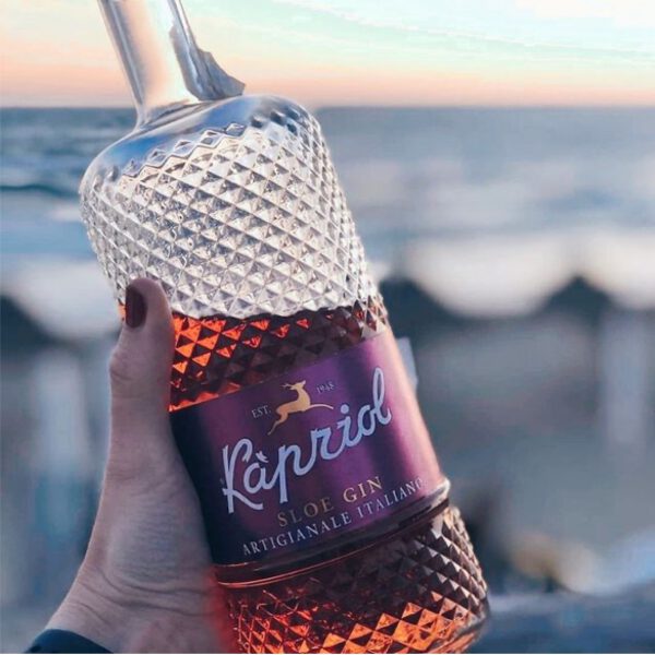 Джин итальянский Kapriol Slie Gin 0,7 л 28,70% купить