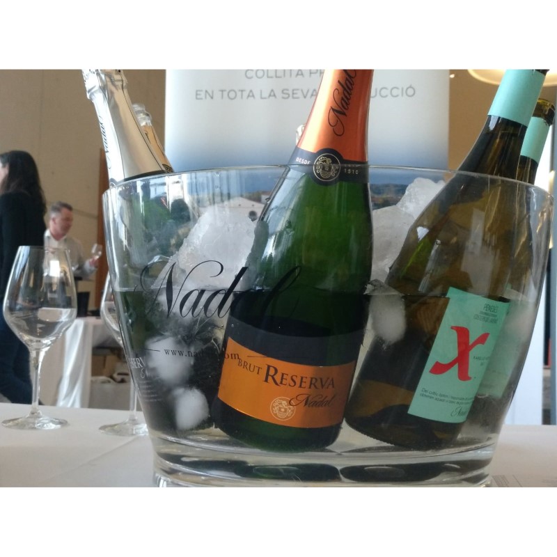 Вино игристое Nadal Brut Reserva Corpinnat белое сухое 0,75л 12% купить