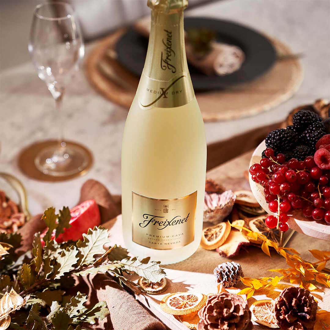 Вино игристое Freixenet Premium Cava Carta Nevada белое полусладкое 0,75л 11,5% купить