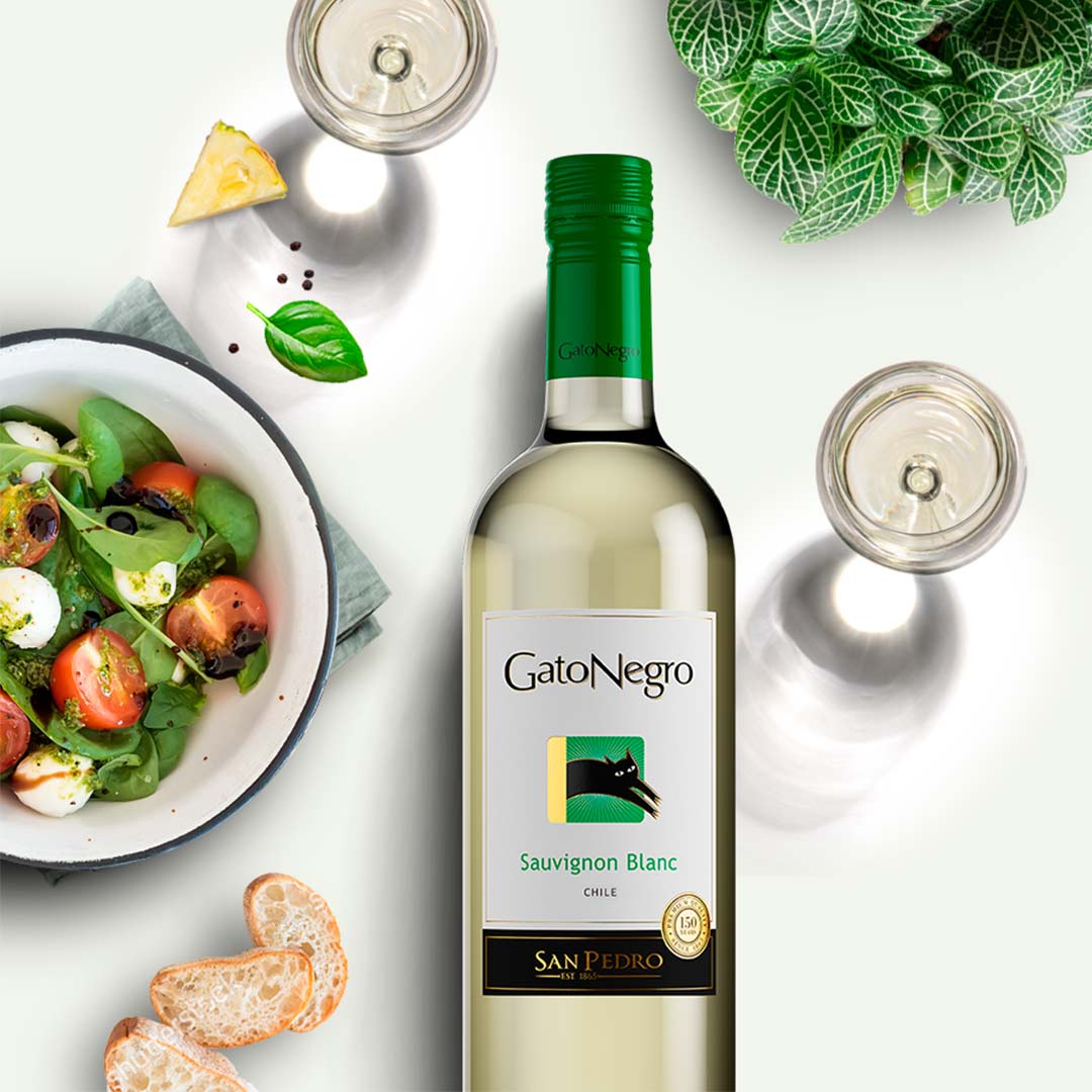 Вино Gato Negro Sauvignon Blanc белое сухое 0,75л 13% купить