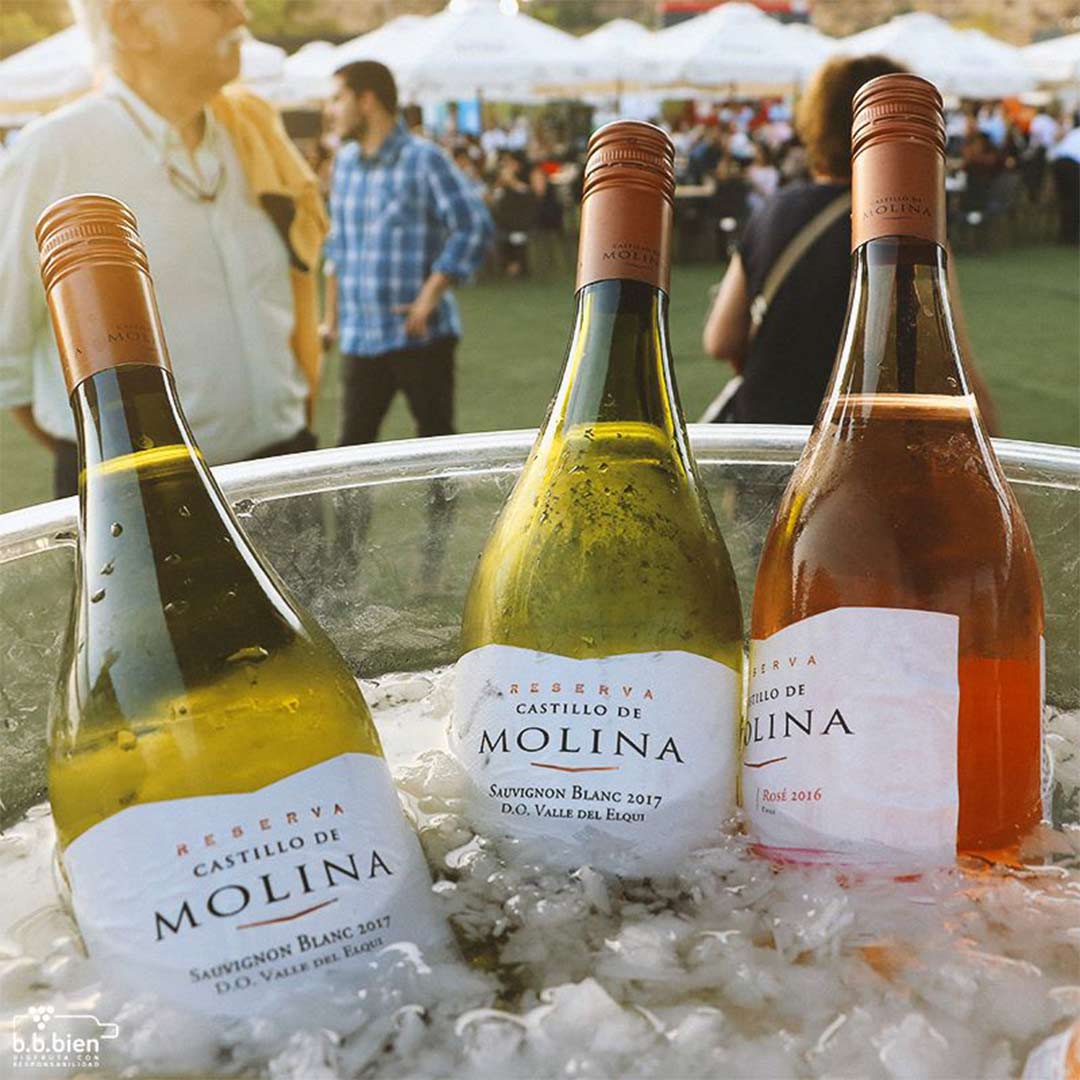 Вино Castillo de Molina Sauvignon Blanc белое сухое 0,75л 13-14% купить