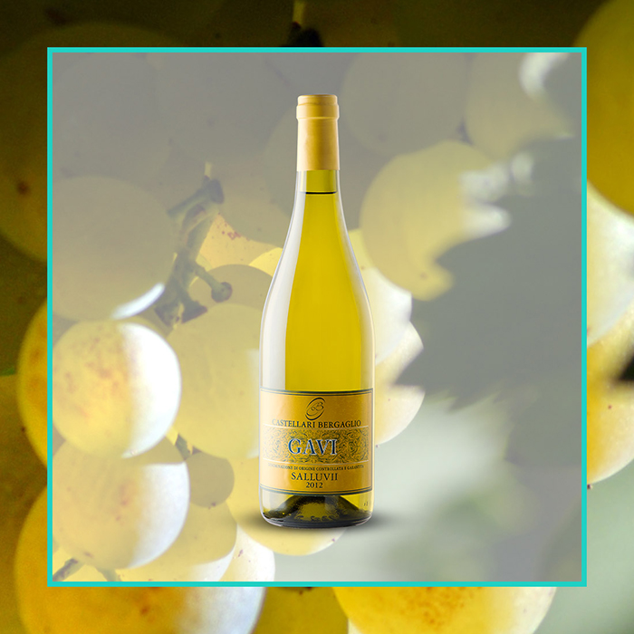 Вино Castellari Bergaglio Gavi Salluvii біле сухе 0,75л 12.5% купити