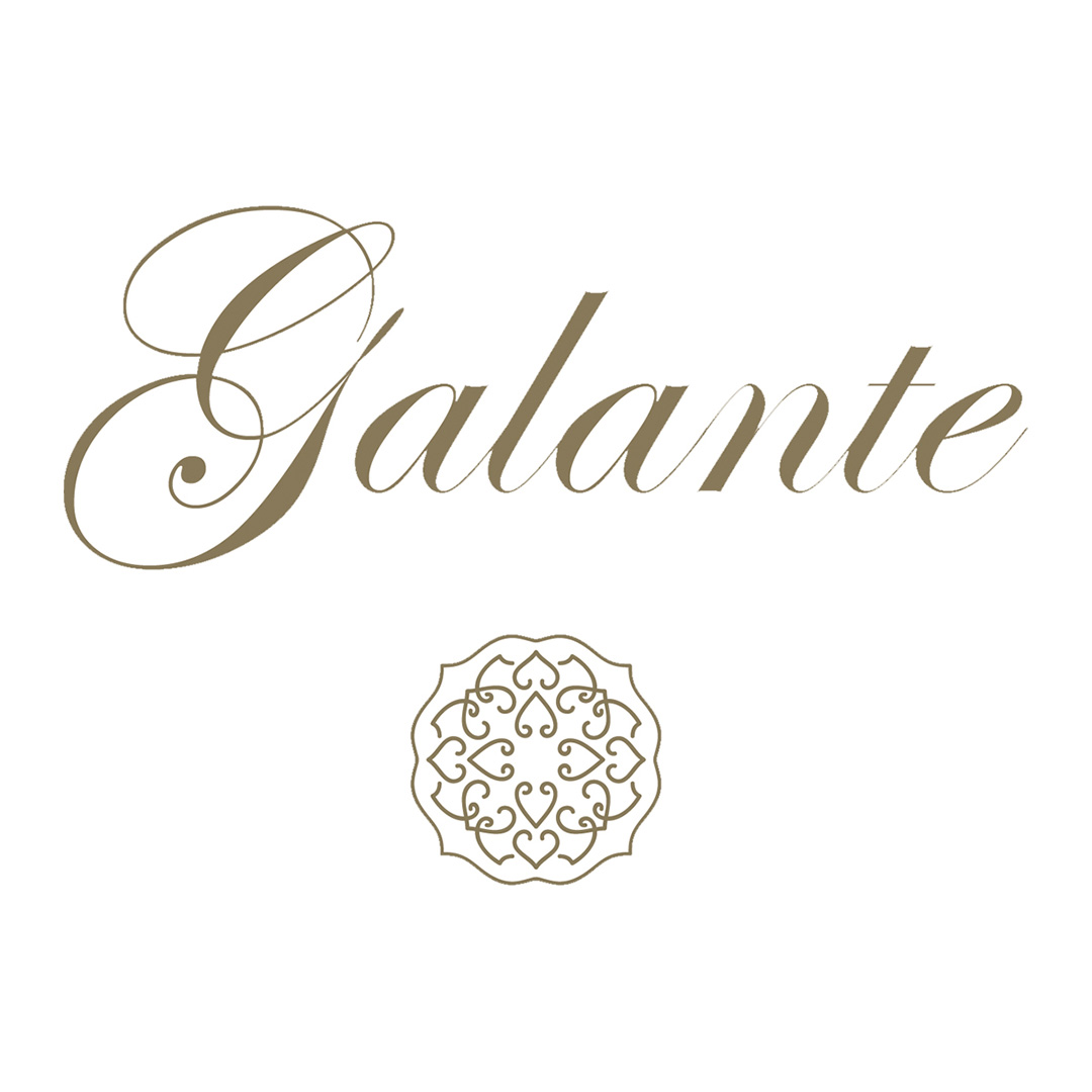 Вино Medici Galante Sangiovese Appasimento красное сухое 0,75л 14,5% купить