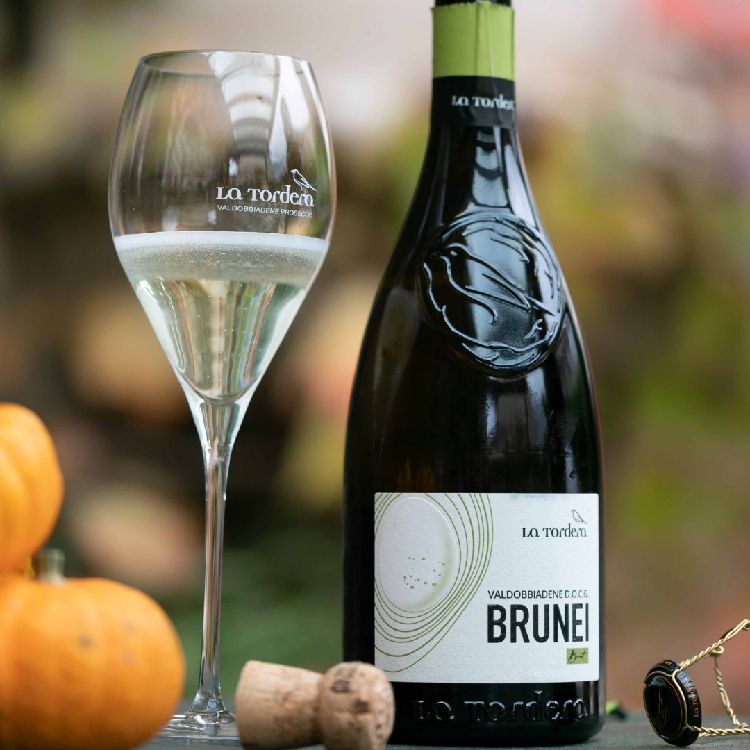 Вино игристое La Tordera Prosecco Valdobbiadene Superiore Docg Brunei Spumante белое брют 0,75л 11,5% купить
