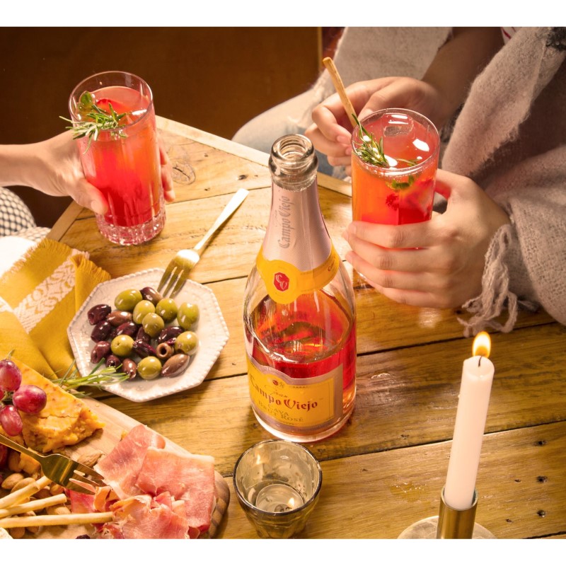 Вино игристое Campo Viejo Cava Brut Rose розовое 0,75л 12% в Украине