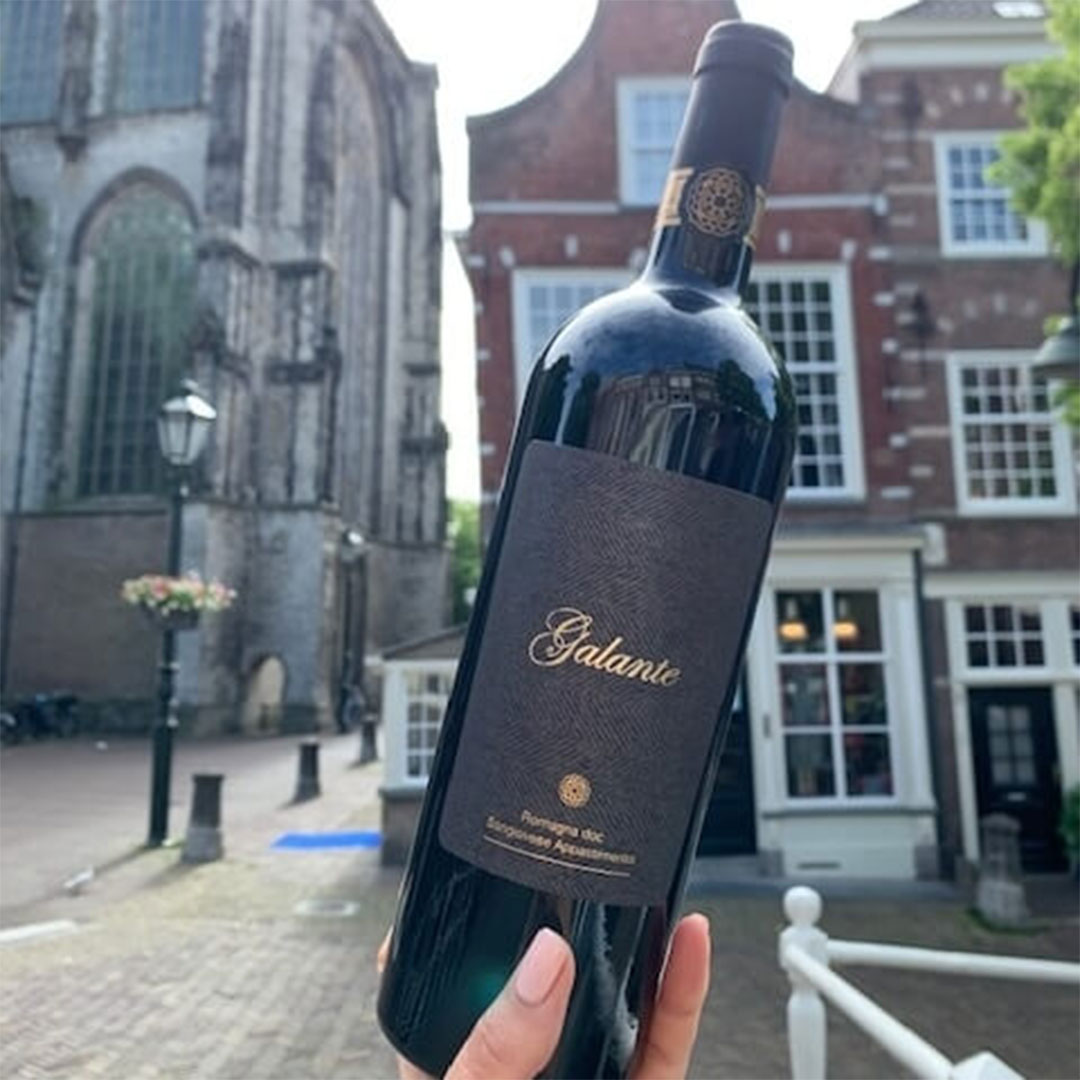 Вино Medici Galante Sangiovese Appasimento красное сухое 0,75л 14,5% купить