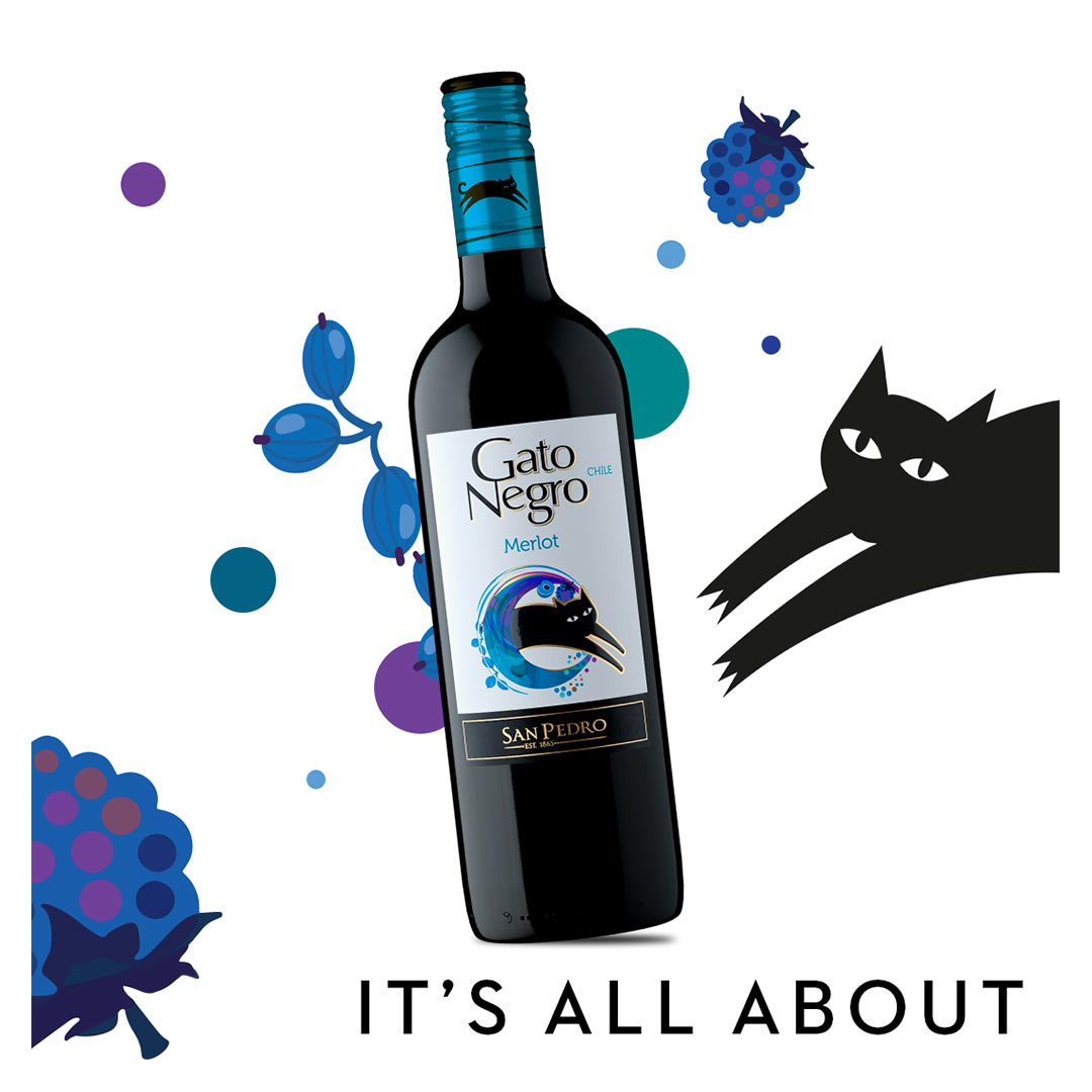 Вино Gato Negro Merlot червоне сухе 0,75л 13% купити