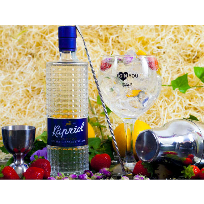 Джин итальянский Kapriol Gin Old Tom 0,7л 41,7% купить