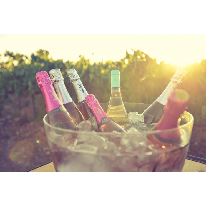 Вино ігристе Nadal Brut Rose Reserva Corpinnat рожеве сухе 0,75л 12,5% купити