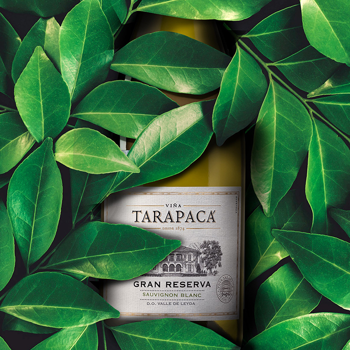 Вино Tarapaca Gran Reserva Sauvignon Blanc белое сухое 0,75л 13,9% купить