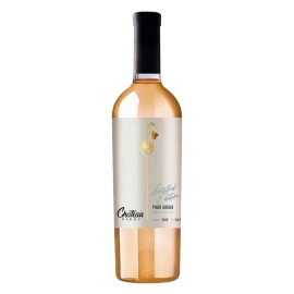 Вино белое сухое Chateau Pinot Pinot Grigio 0,75л 12%