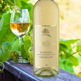 Вино Trebbiano IGR Rubicone сухе біле 1,5л 11% купити