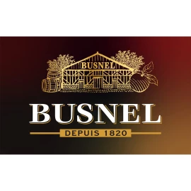 Кальвадос Busnel Pays D'Auge ХО 0,7л 43% купить