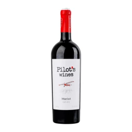 Вино Pilot’s Wines Мерло красное сухое 0,75л 11,5%