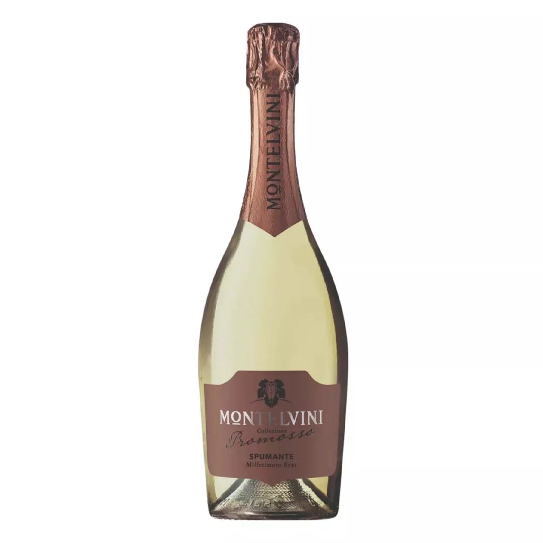 Вино игристое Montelvini Promosso Spumante Millesimato белое брют 0,75л 11,8%