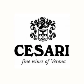 Вино Cesari Bardolino Trevenezie Essere красное сухое 0,75л 11,5% купить