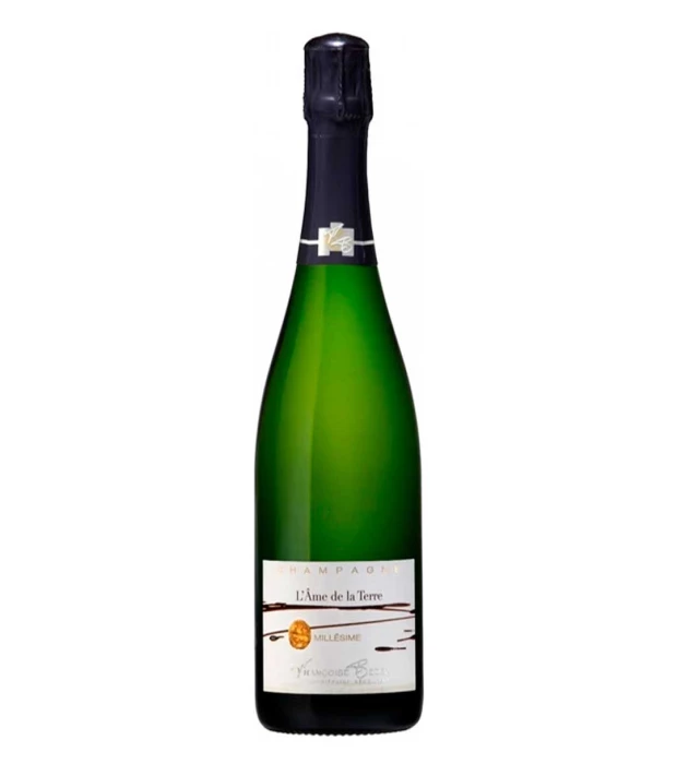 Шампанское Francoise Bedel L'Âme de la Terre Extra Brut 2006 белое экстра-брют 0,75л 12,5%