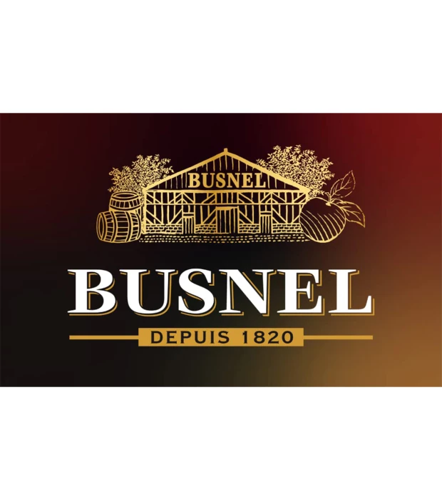 Кальвадос Busnel Pays D'Auge ХО 0,7л 43% купить