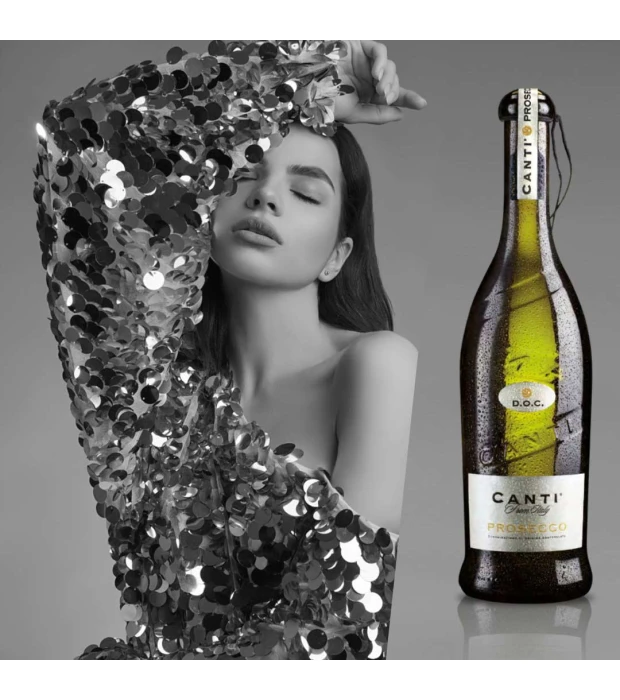 Вино ігристе Canti Prosecco Frizzante белое сухое 0,75л 10,5% купить