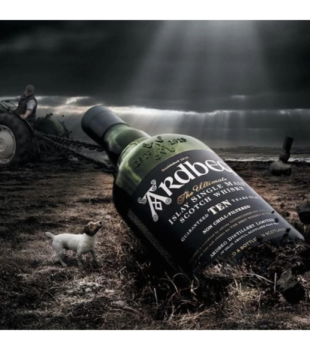 Виски Ardbeg 10 лет выдержки 0,7 л 46% в Украине