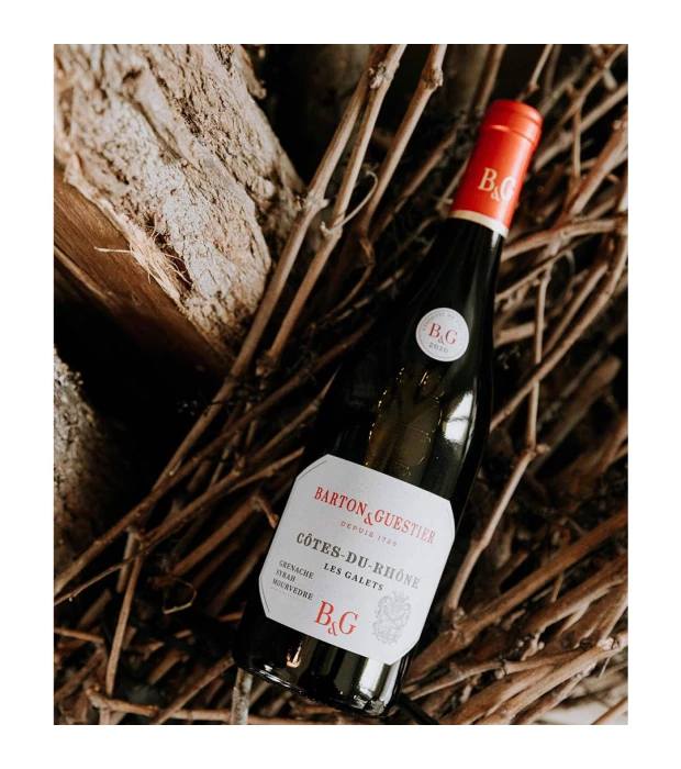 Вино Barton & Guestier Cotes du Rhone Passeport красное сухое 0,75л 13% купить