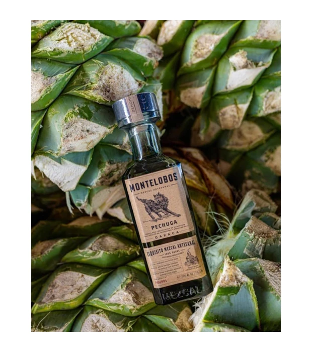 Мескаль Montelobos Pechuga 0,7л 47,9% купить