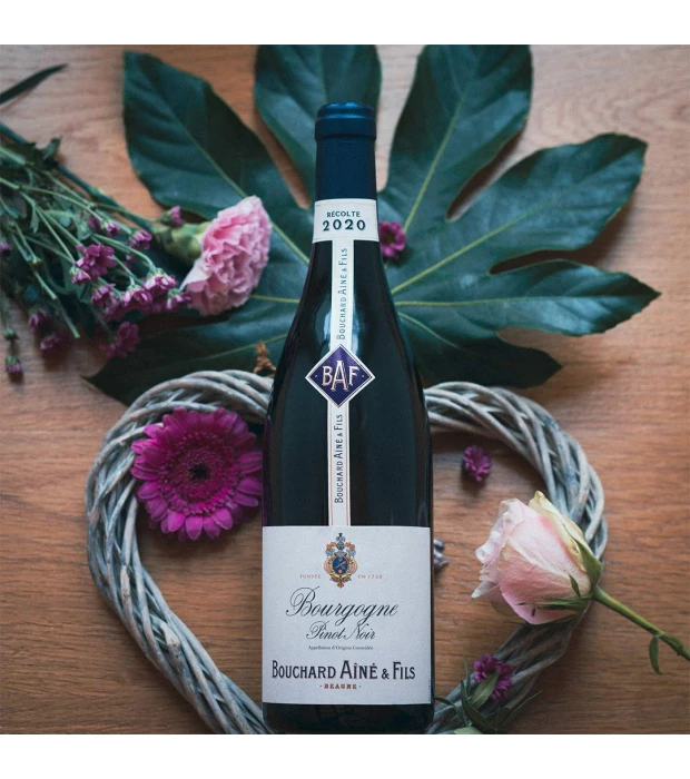 Вино Bouchard Aîné & Fils Bourgogne Pinot Noir красное сухое 0,75л 13% купить