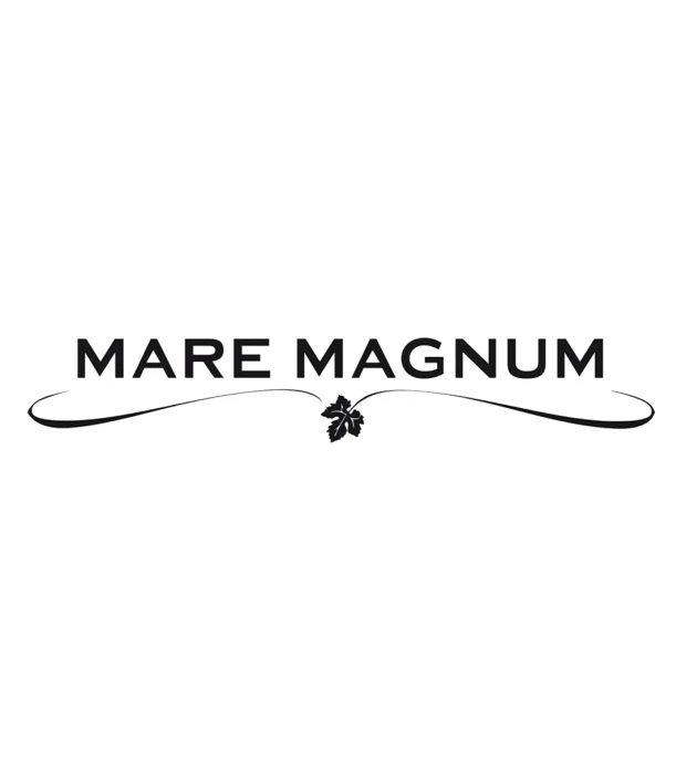 Вино Mare Magnum Zinfandel Big Boys красное сухое 0,75л 14,5% в Украине