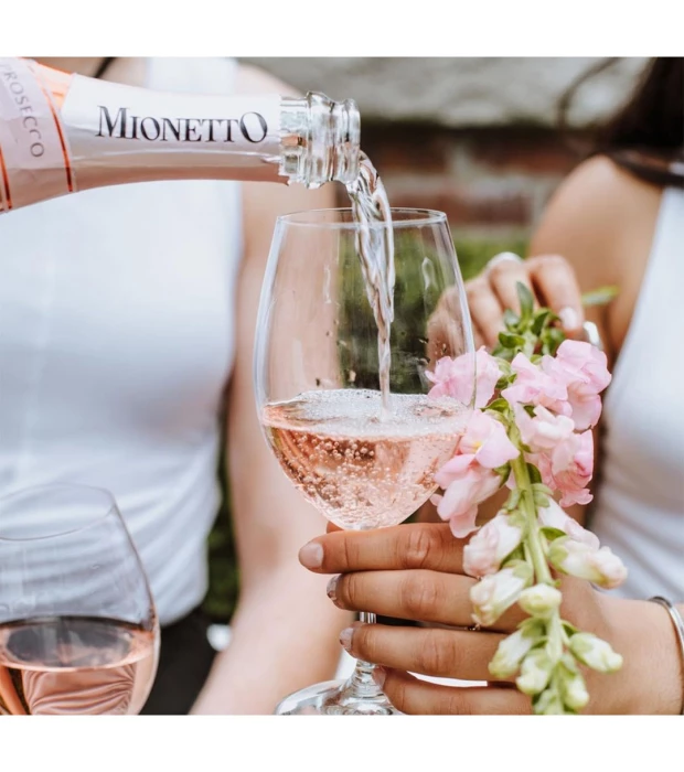 Вино игристое Mionetto Prosecco Rose D.O.C Millesimato розовое экстрасухое 0,75 л 11% купить