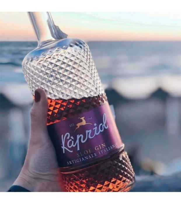Джин итальянский Kapriol Slie Gin 0,7 л 28,70% купить