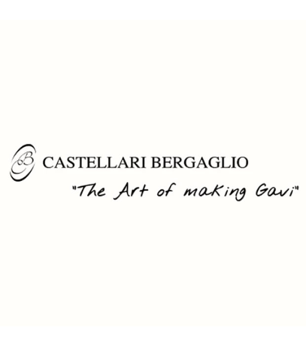 Вино Castellari Bergaglio Gavi Salluvii біле сухе 0,75л 12.5% в Україні
