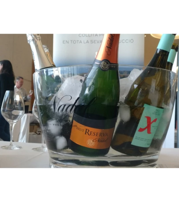 Вино игристое Nadal Brut Reserva Corpinnat белое сухое 0,75л 12% купить