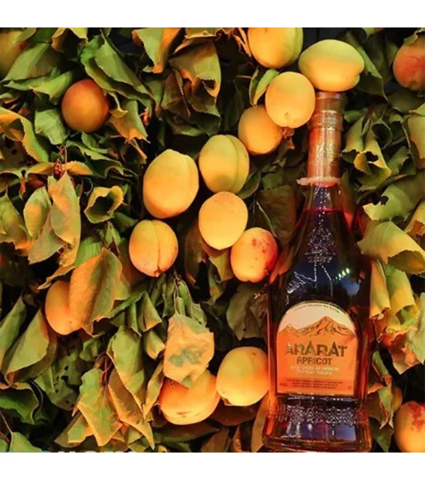 Напиток крепкий алкогольный Ararat Apricot 0,5л 30% в коробке в Украине