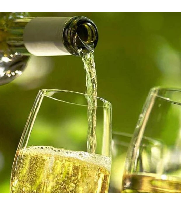 Вино Pinot Grigio delle Venezie Essere 2 Be 0,75 л 12.5% купить