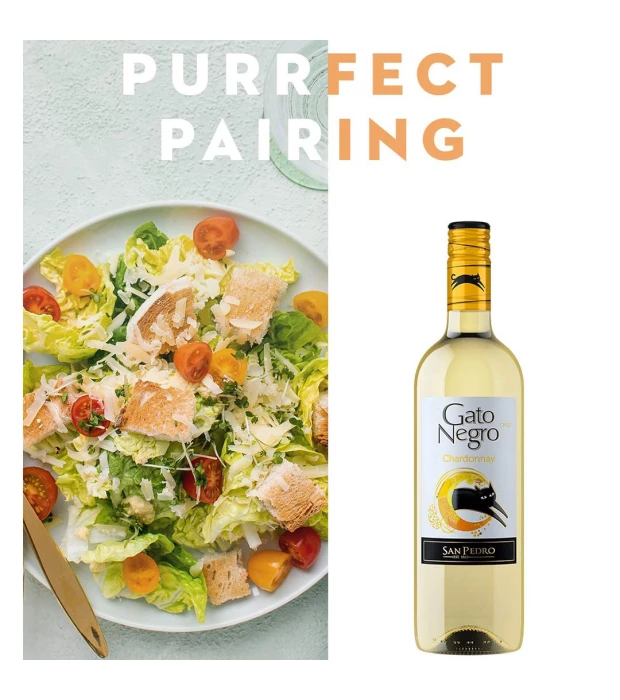 Вино Gato Negro Chardonnay біле сухе 0,75л 13,5% купити