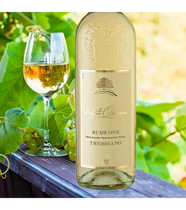 Вино Trebbiano IGR Rubicone сухе біле 1,5л 11% купити