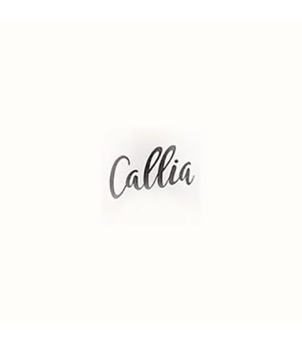 Вино Salentein Callia Malbec красное сухое 0,75л 13% купить