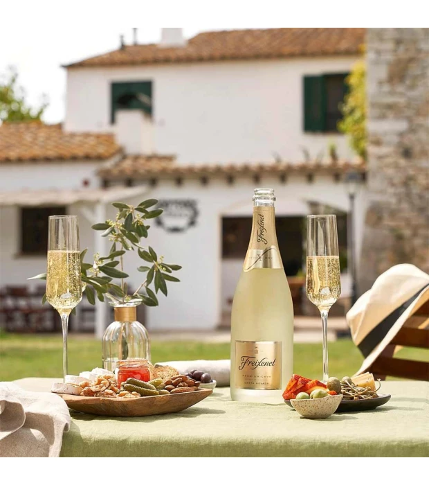 Вино игристое Freixenet Premium Cava Carta Nevada белое полусладкое 0,75л 11,5% купить