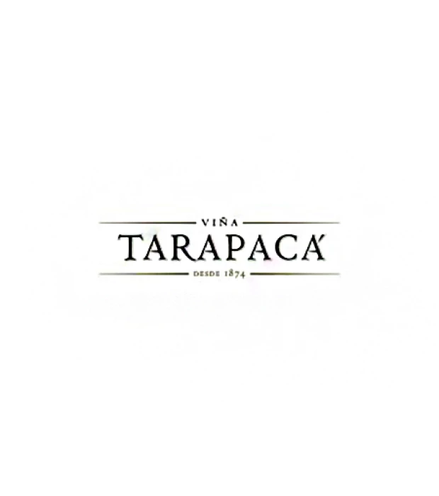 Вино Tarapaca Gran Reserva Sauvignon Blanc белое сухое 0,75л 13,9% в Украине