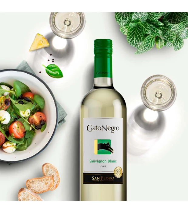 Вино Gato Negro Sauvignon Blanc белое сухое 0,75л 13% купить