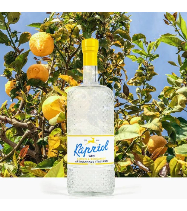 Джин італійський Kapriol Gin Lemone&Bergamotto 0,7л 40,7% купити