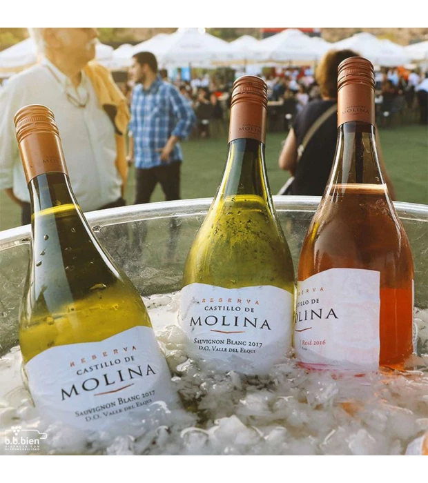 Вино Castillo de Molina Sauvignon Blanc белое сухое 0,75л 13-14% купить