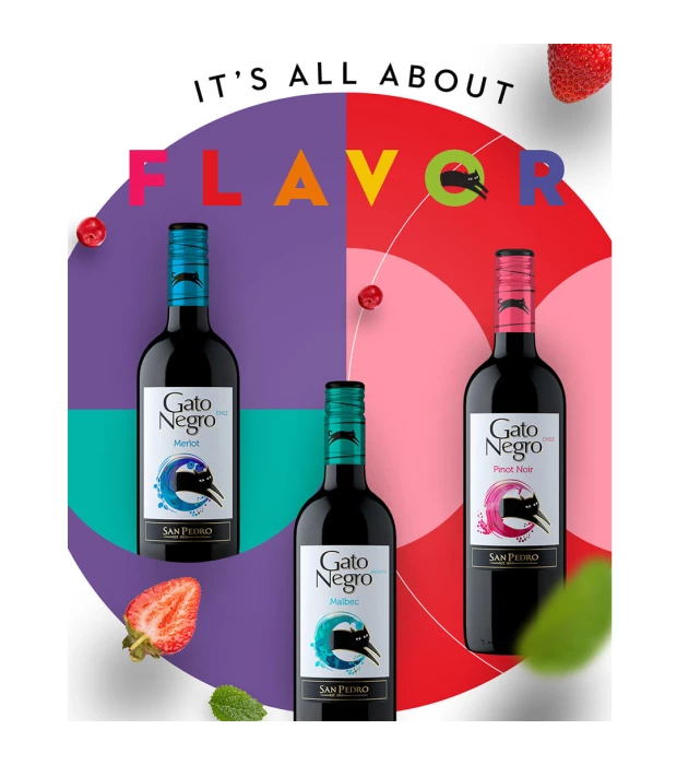 Вино Gato Negro Malbec червоне сухе 0,75л 13% купити